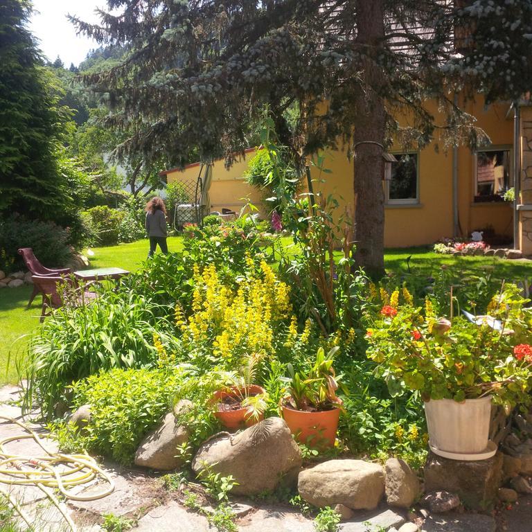 Gite Loredana Kirchberg Kültér fotó
